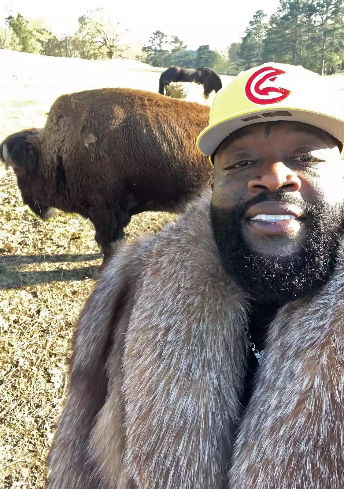 Rick Ross' Responds to Pet Buffalo Causing Problems in His GA Neighborhood